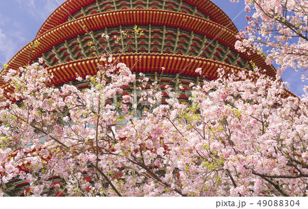 台湾 景色 風景 49088304
