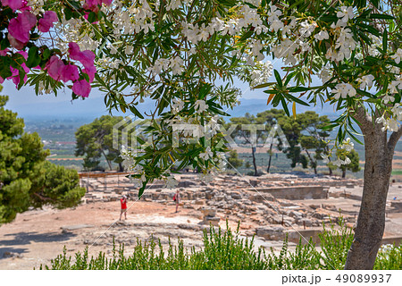 Phaistos palace archaeological site on Crete Phaistos palace archaeological site on Crete 49089937