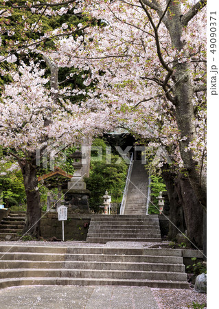 甘縄神明社 甘縄神明社 49090371