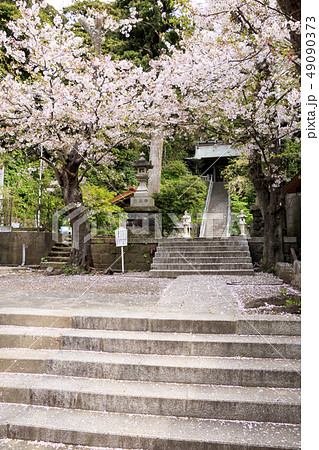 甘縄神明社 49090373