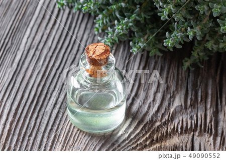 A bottle of thyme essential oil with fresh thyme A bottle of thyme essential oil with fresh thyme 49090552