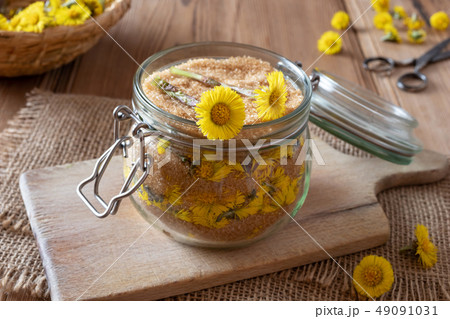 Preparation of coltsfoot syrup from fresh flowers 49091031