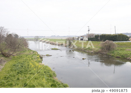 柴山伏越を流れる元荒川（下流側） 49091875