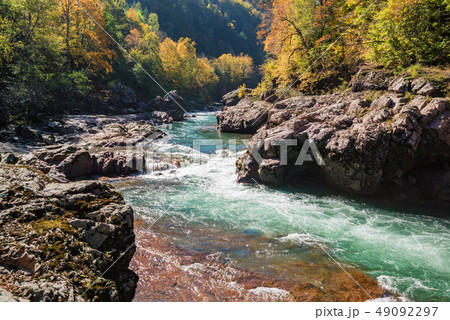 Fall landscape with mountain river and forest 49092297