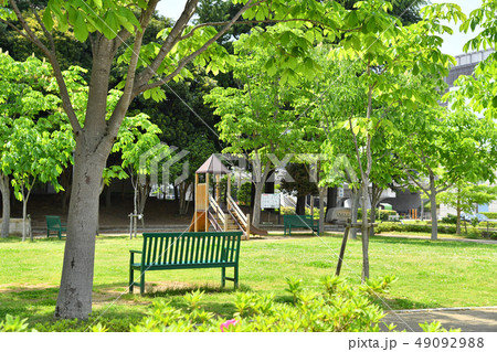 茨城県つくば市竹園 大清水公園 茨城県つくば市竹園 大清水公園 49092988