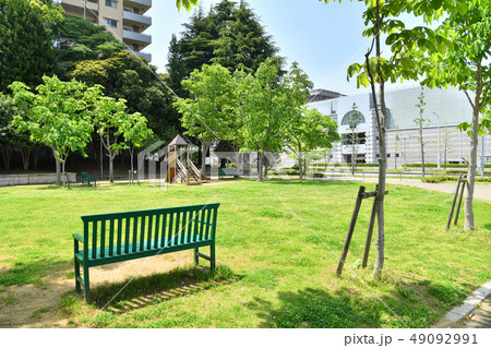 茨城県つくば市竹園 大清水公園 茨城県つくば市竹園 大清水公園 49092991