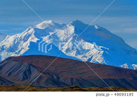 アラスカ デナリ国立公園(マッキンレー) Denali National Park 49093195
