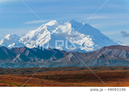 アラスカ デナリ国立公園(マッキンレー) Denali National Park 49093196