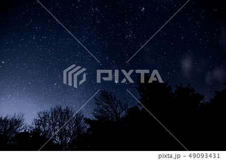 オリオン座とM42星雲 Orion and M42 nebula 49093431