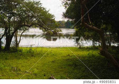 Elephant taking a bath in the river of Chitwan national park 49093831