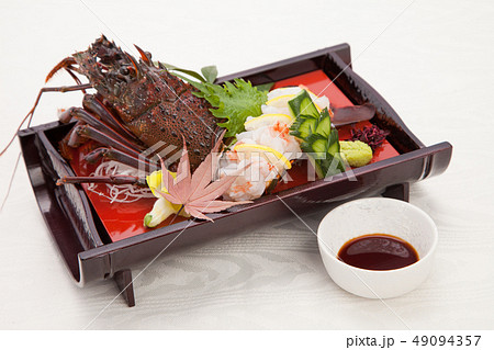 おめでたい席での伊勢海老お造りスタジオ撮影の素材 49094357