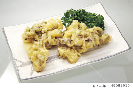 舞茸天麩羅01_切抜パス付 舞茸天麩羅01_切抜パス付 49095919