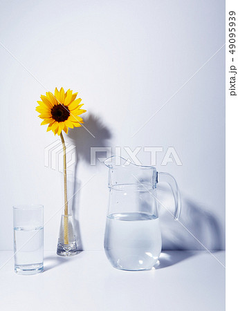 花 花瓶 ヒマワリ 49095939