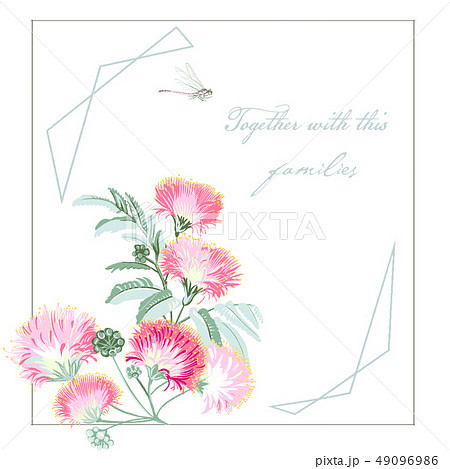 花 フラワー お花 49096986