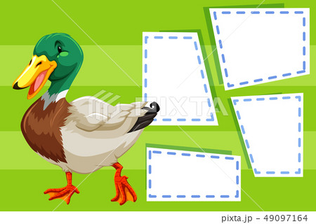 A duck on blank note A duck on blank note 49097164