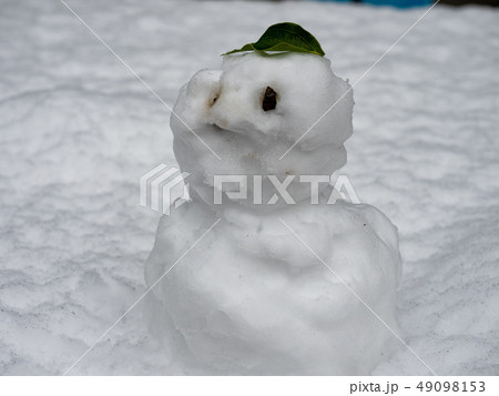 雪だるま 49098153
