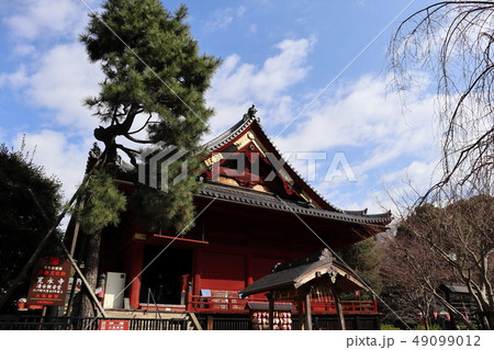 日本 上野公園の風景 日本 上野公園の風景 49099012
