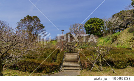 春の館山城跡の風景 春の館山城跡の風景 49099858