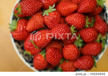 いちご 49099896