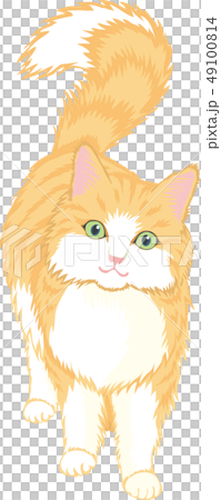 猫（長毛種） 49100814