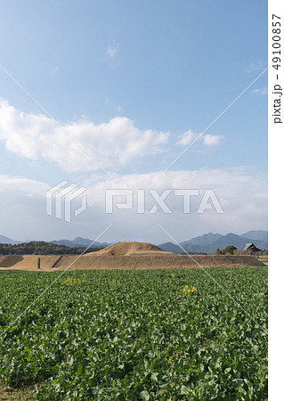 西都原古墳群 西都原古墳群 49100857