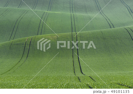 Landscape with Green Hills Landscape with Green Hills 49101135