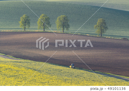 Landscape with Fields and Trees Landscape with Fields and Trees 49101136