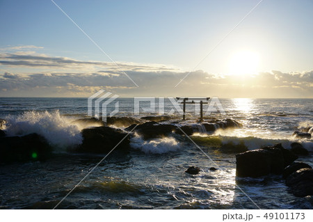 日の出 49101173