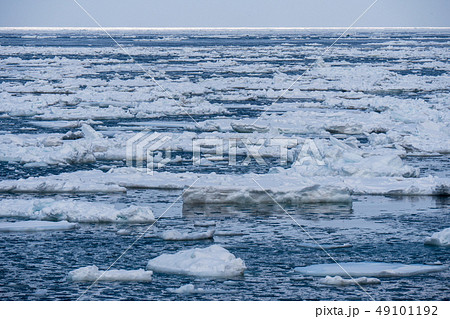 知床の流氷 49101192