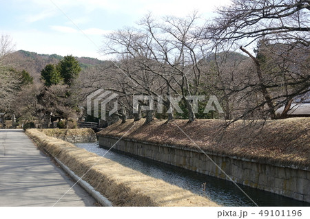 龍岡城五稜郭の水堀(3月下旬) 龍岡城五稜郭の水堀(3月下旬) 49101196