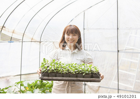 苗のパレットを持つ女性 49101201