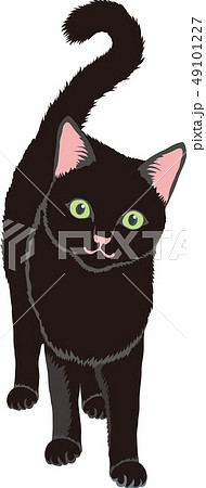 黒猫 49101227