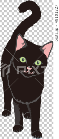 黒猫 49101227