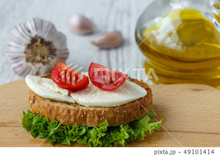 Bruschetta with mozzarella and cherry tomatoes Bruschetta with mozzarella and cherry tomatoes 49101414