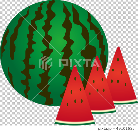 A watermelon 49101653