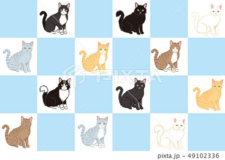 色々な種類の猫 49102336
