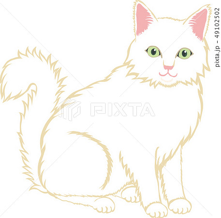 長毛しろねこ 49102502