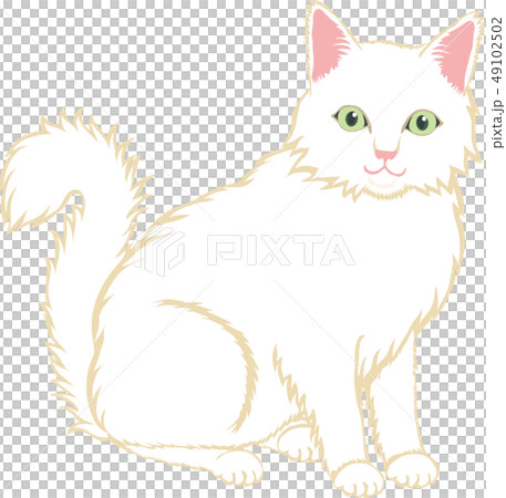 長毛しろねこ 49102502