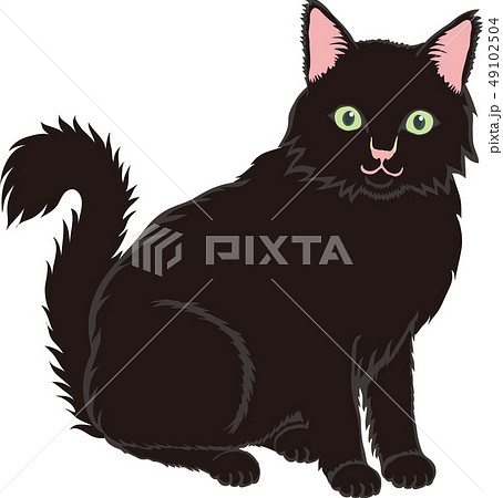 長毛黒猫のイラスト素材