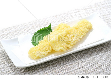 イカの天ぷら　 49102516