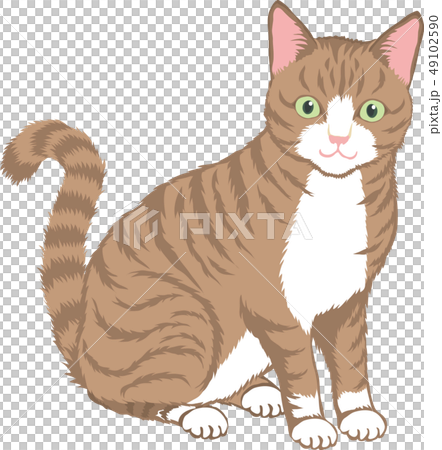 サバ猫のイラスト素材 [49102590] - PIXTA