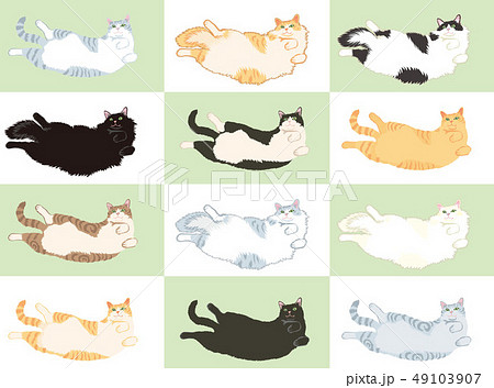 色々な種類の猫のイラスト素材