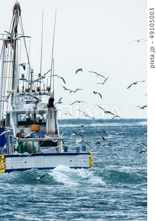 いかなご漁 いかなご漁 49105003