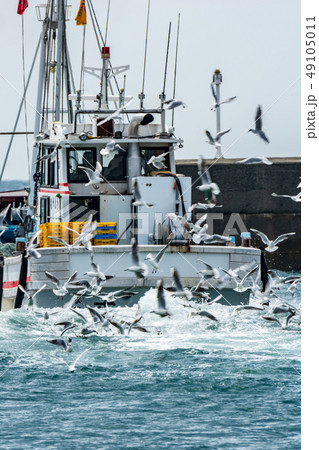 いかなご漁 いかなご漁 49105011