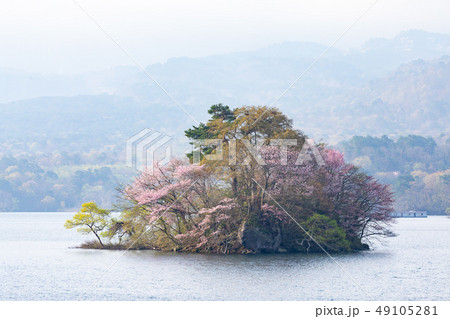 桧原湖の桜島 桧原湖の桜島 49105281
