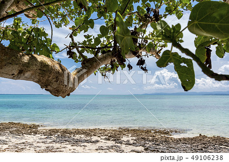 竹富島　カイジ浜 49106238