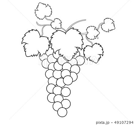 grape icon 49107294