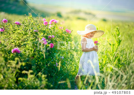 Cute girl wearing hat and white dress stand in the pink flower field of Sunn Hemp Crotalaria Juncea 49107803