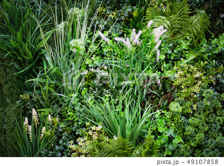 Eco Green Plant Wall 49107858
