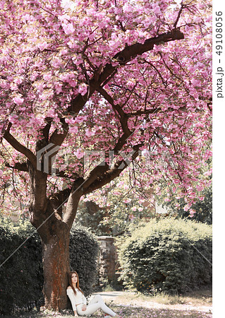 Outdoor portrait of young beautiful happy smiling lady posing near flowering tree. Model wearing 49108056